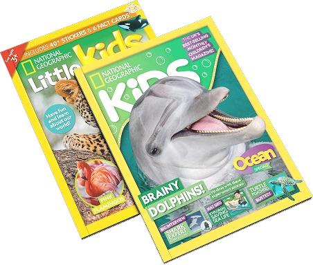 Magazine Subscription